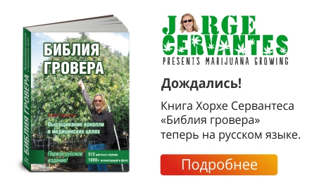 Библия Гровера Купить Книгу