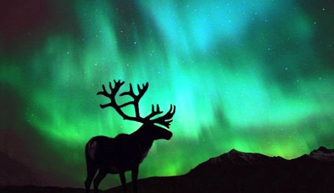 Northern Lights: Магия Северного Сияния