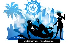 Блог Dutch Passion: Медицинский гров для борьбы с симптомами болезни Лайма