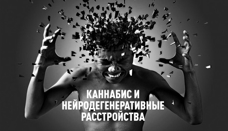 Каннабис и нейродегенеративные заболевания