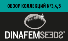 Обзор Коллекций №3, №4, №5 от Dinafem