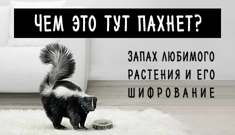 Как бороться с запахом в гроубоксе?