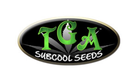 А ты знаком с сидбанком TGA Subcool?