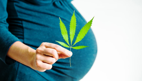 Употребление марихуаны во время беременности скачать tor browser на пк gidra