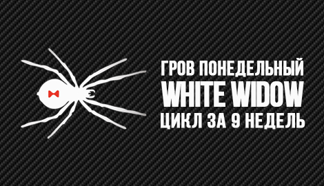 Гров понедельный: White Widow fem