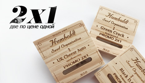 Две пачки Humboldt по цене одной!