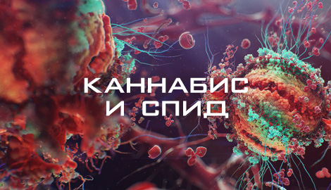 Каннабис и лечение ВИЧ\СПИДа