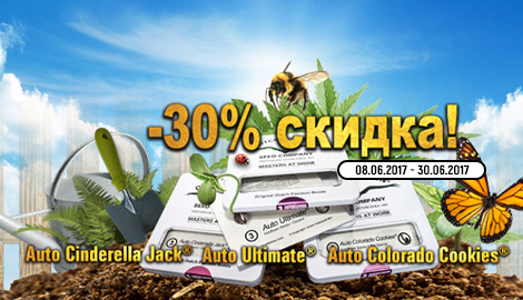 Акция от Dutch Passion: 30/30/30