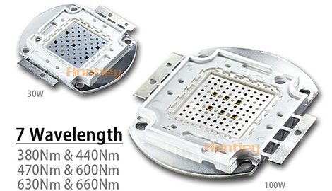 Обзор матрицы Hontiey 7 Wavelength 50Ватт