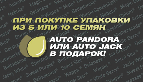 Налетай на бонусы от Paradise Seeds!