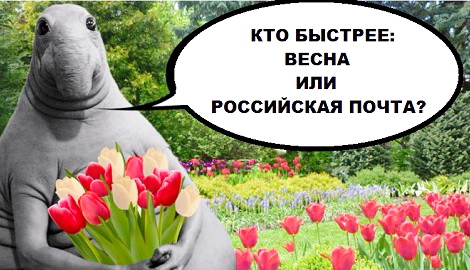 Тайный покупатель и продолжительная история