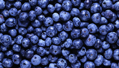 Blueberry: черничная история