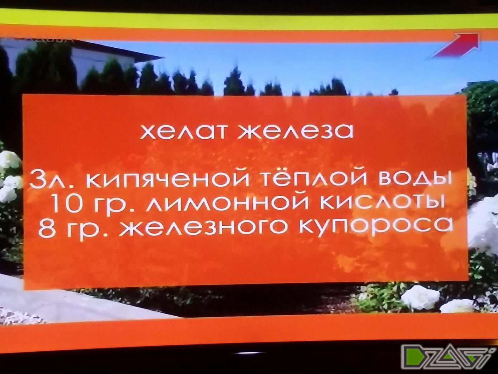 post-80930-0-02202800-1458567082_thumb.jpg