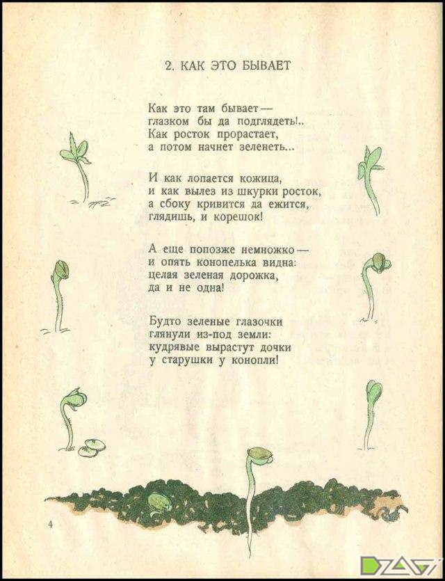 новиков иван конопелька конопля