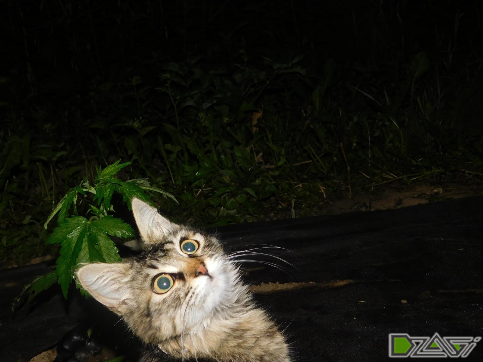 DSCN0128.JPG