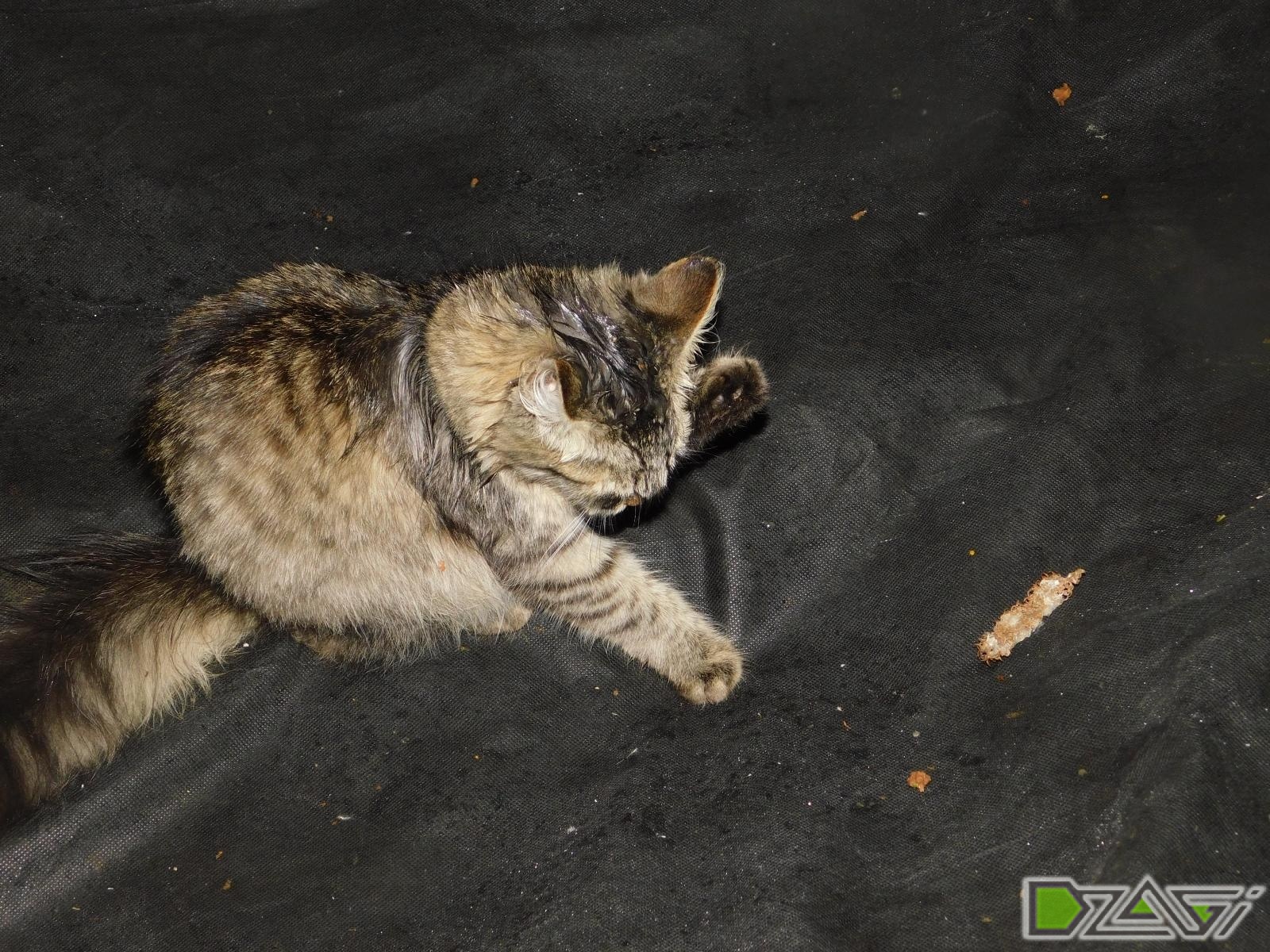DSCN0120.JPG