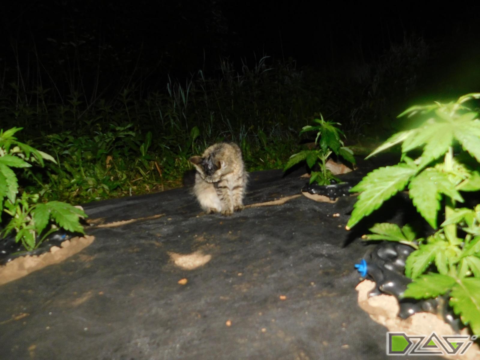 DSCN0133.JPG