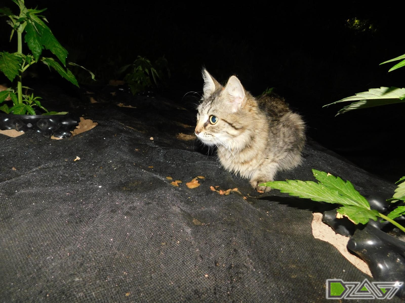 DSCN0105.JPG