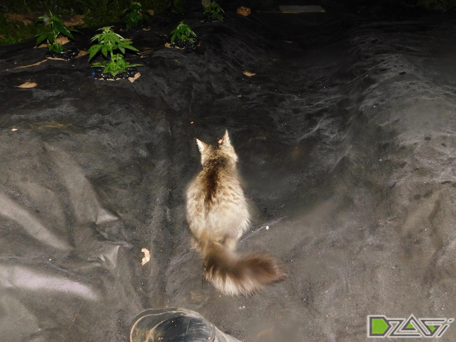 DSCN0113.JPG