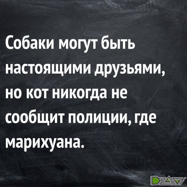 post-59573-0-03001700-1528971542_thumb.jpg