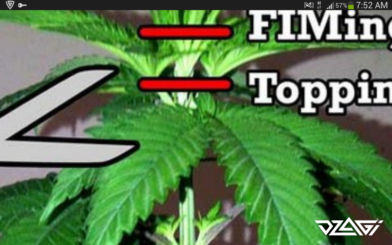 post-121542-0-08181000-1598072162_thumb.png