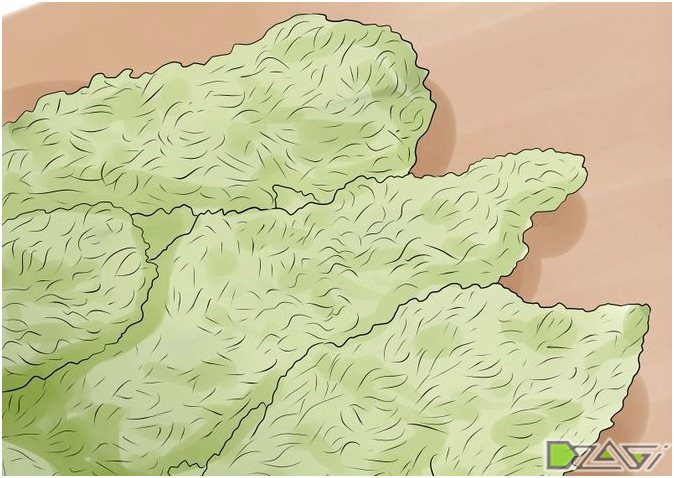 hash 3.jpg