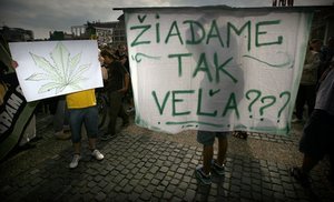 Марихуана в словакии по как отличить самку конопли от самца
