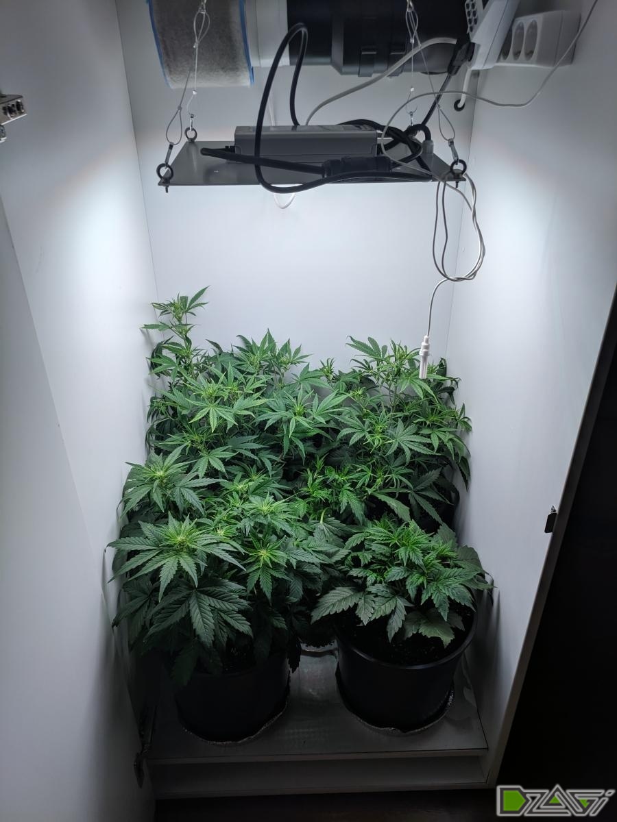 1 (3).jpg