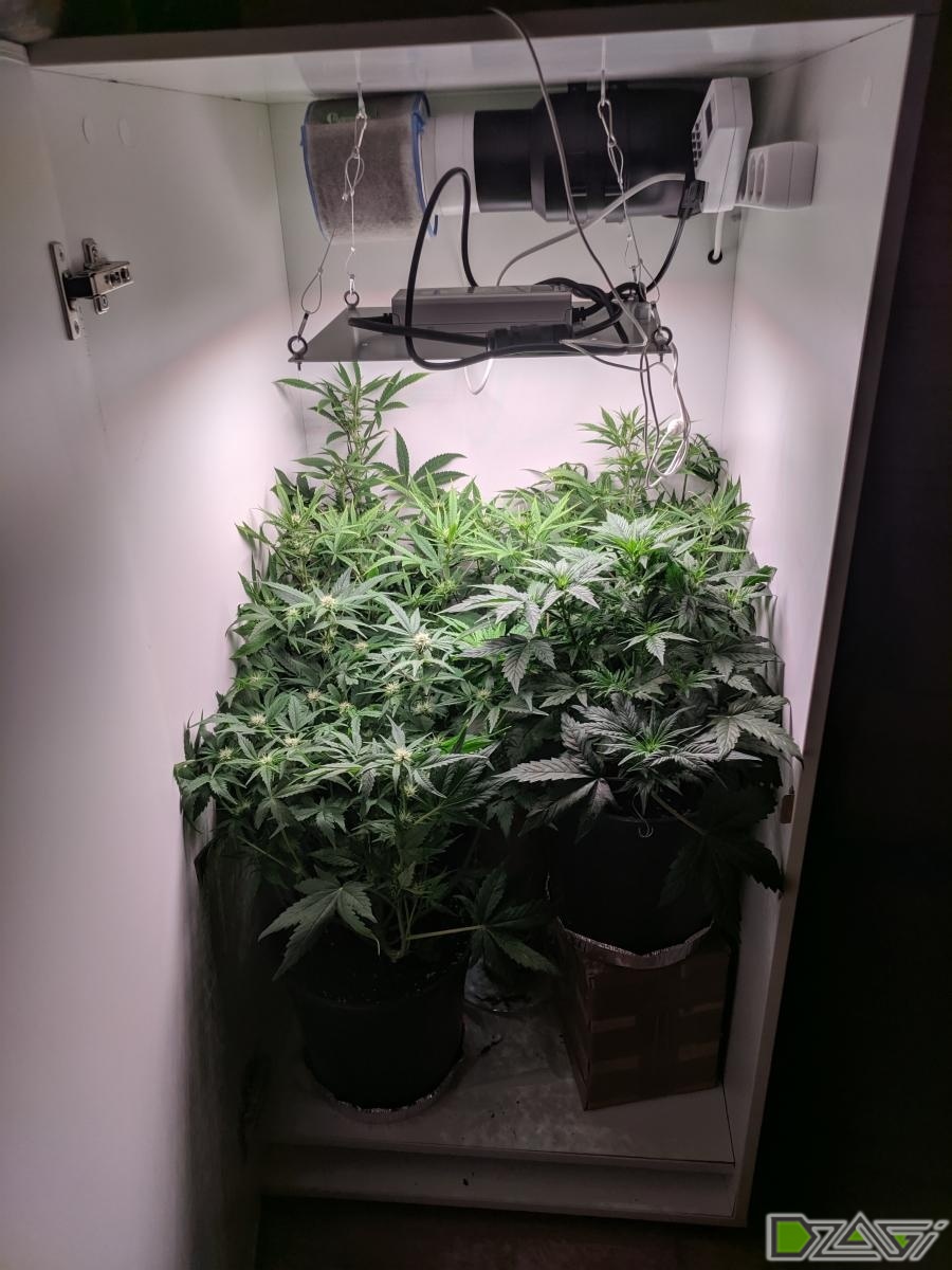 1 (2).jpg