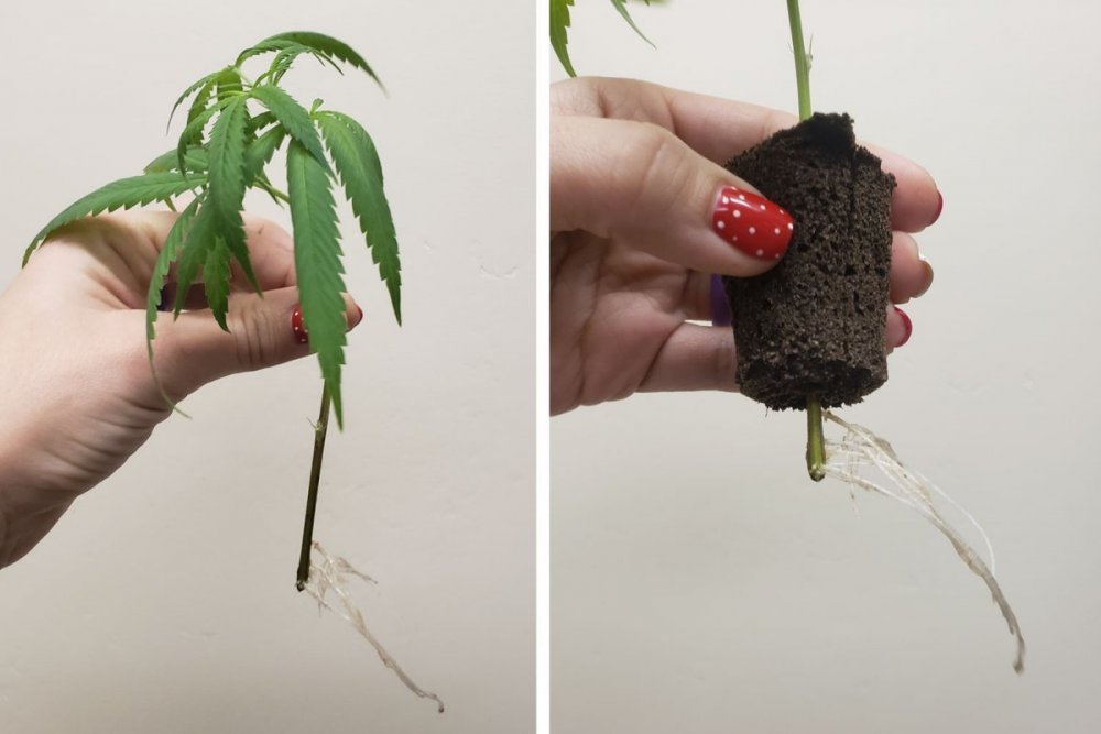 31_делать так.jpg