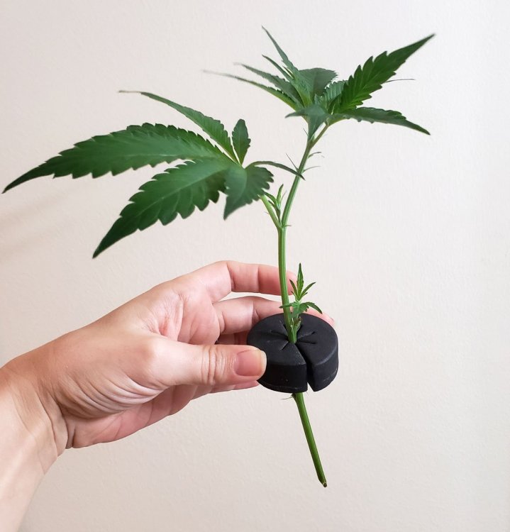 12_клон в специальнной вставке.jpg