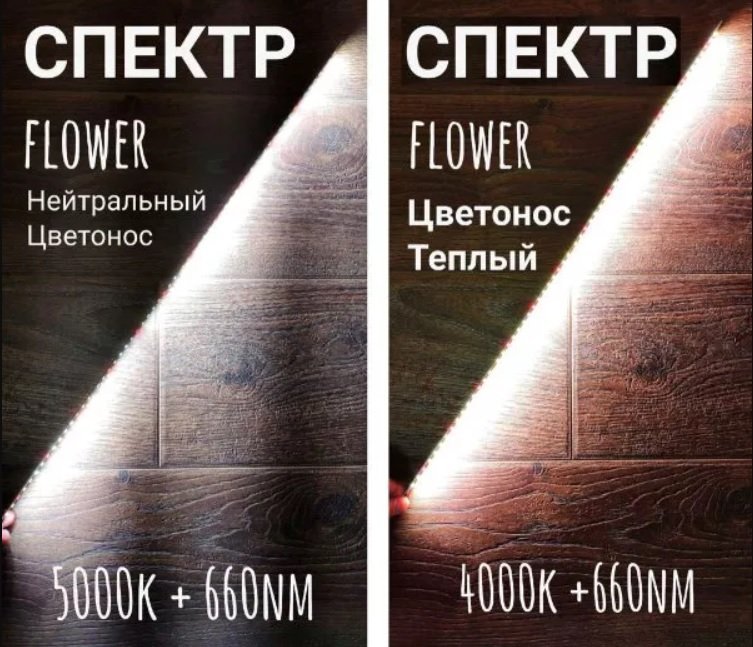 рис 8.jpg