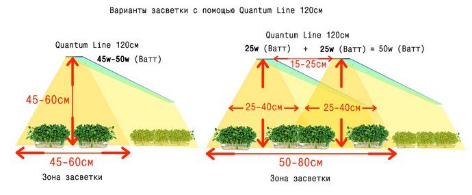 рис 7.jpg