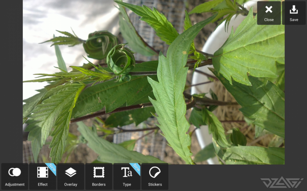 Screenshot_2019-12-25-17-06-17.thumb.png.3a898b0f79786573aac9dff276ab6211.png