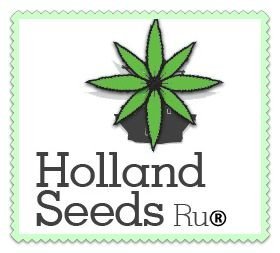 ЛОГО_Holland_Seeds.jpg