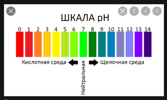 954276190_(58).png.17bb1ed4d8d019e779a6ba9290334403.png