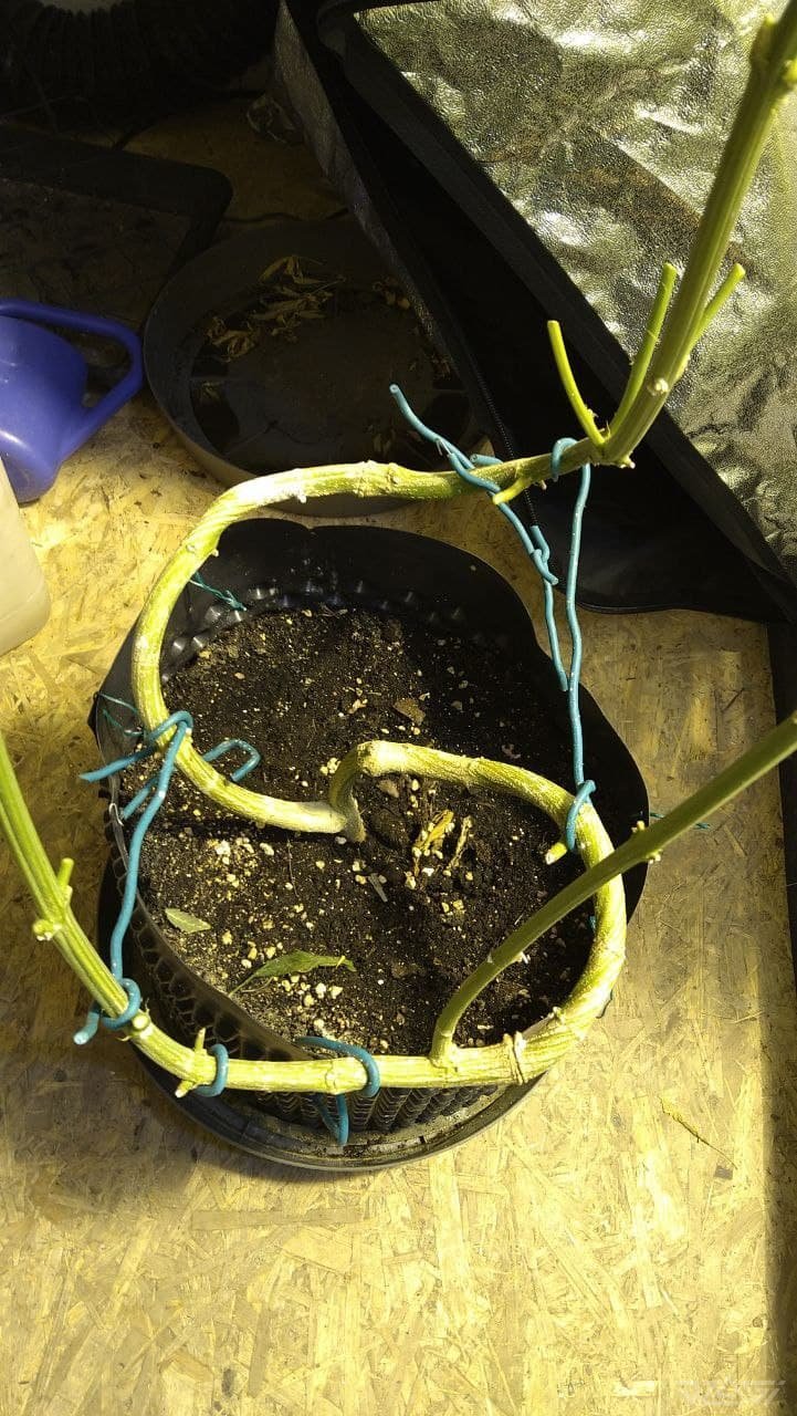 photo_2021-11-06_19-35-54 (3).jpg