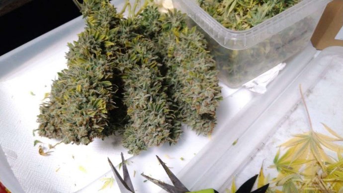 photo_2021-11-01_07-53-08 (3).jpg