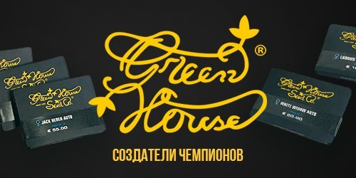 Создатели_чемпионов (2).jpg