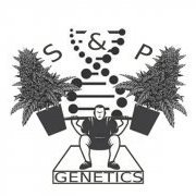 SPGenetics