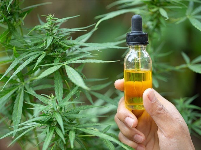 CBD_Oil_732x549-thumbnail.jpg