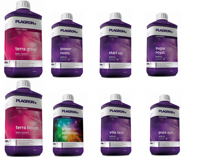 3 место в индоре.png