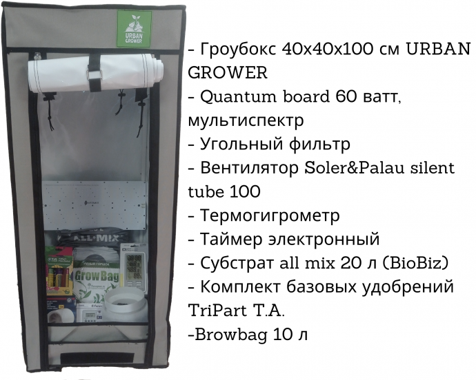 Микрогров 1 место.png