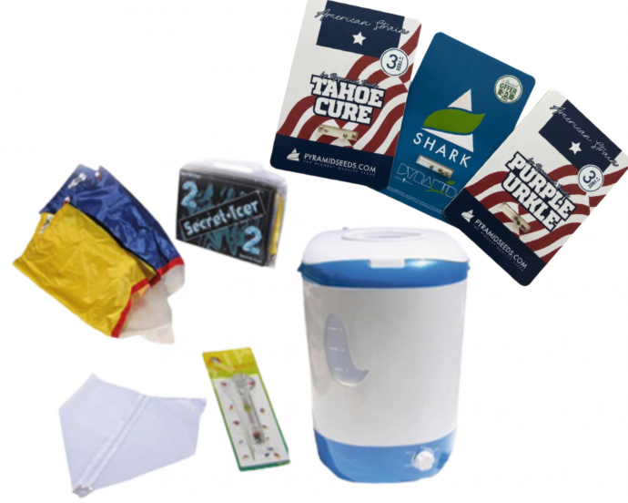 Гидра 3 место.png