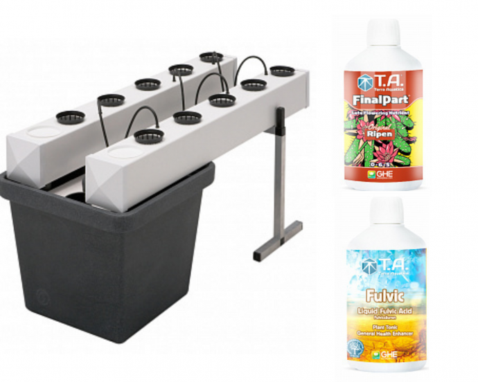 Гидра 2 место.png