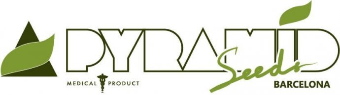 PyramidSeeds_logo.jpg