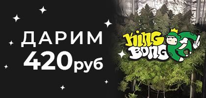 Banner 420х200_King Bong_skidka 10%.png