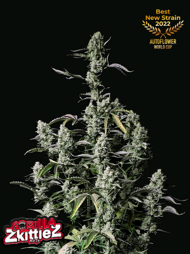 Gorilla Zkittlez.png