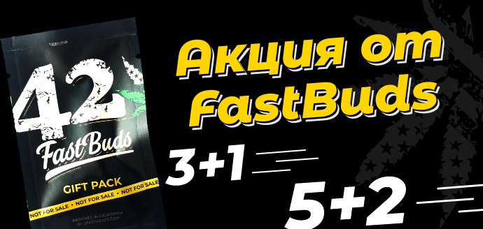 RBR_Fastbuds_690.png