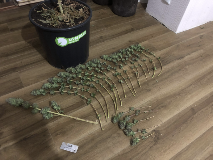 Снимок экрана 2022-09-26 в 15.39.32.png